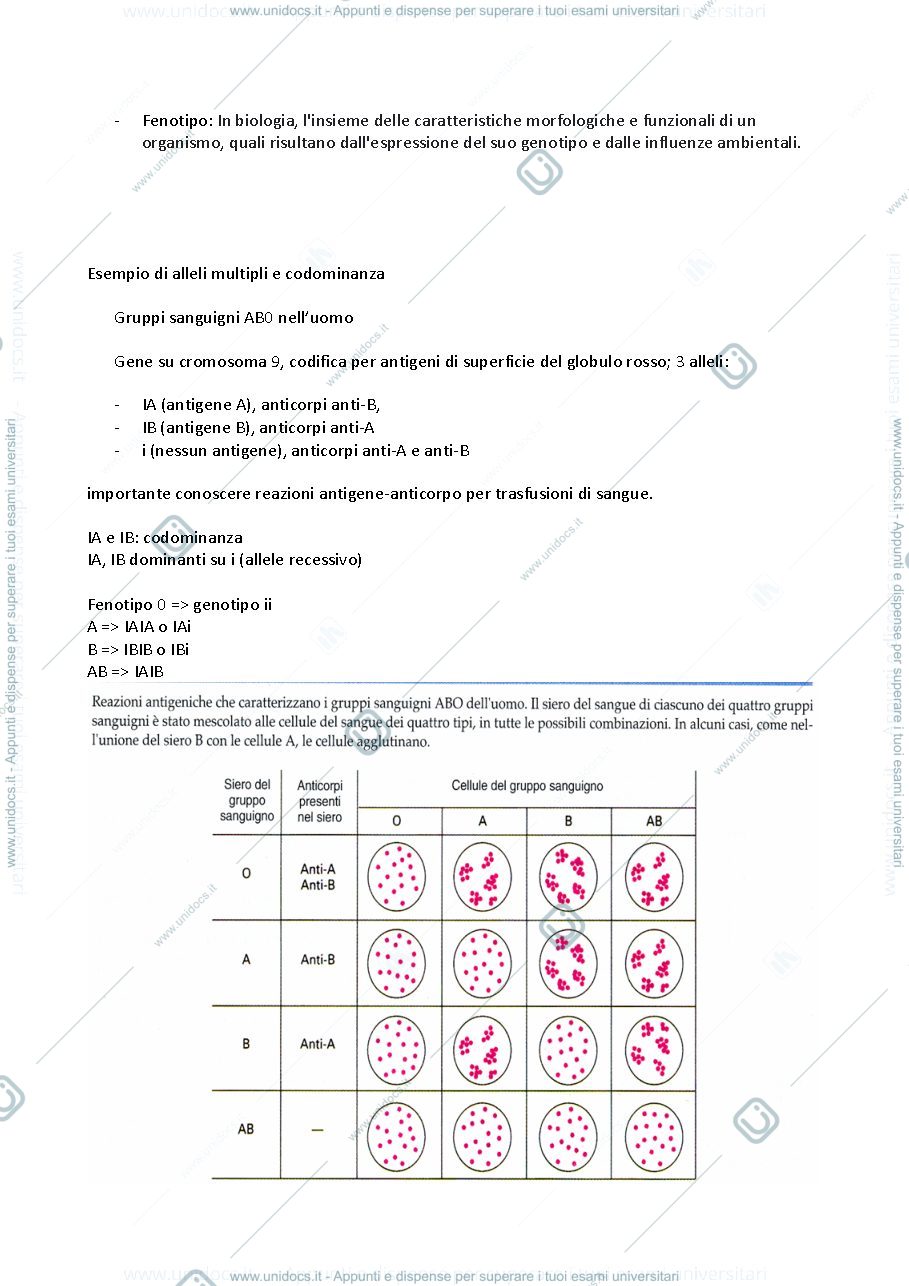 Anteprima pagina 2 — GENETICA MEDICA