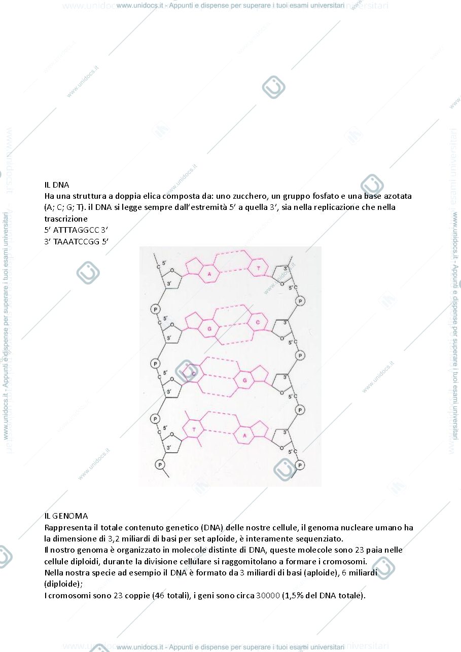 Anteprima pagina 3 — GENETICA MEDICA