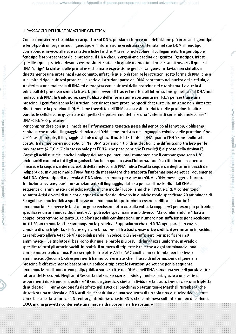 Anteprima pagina 1 — Il passaggio dellinformazione GENETICA dal DNA all'RNA alle proteine 