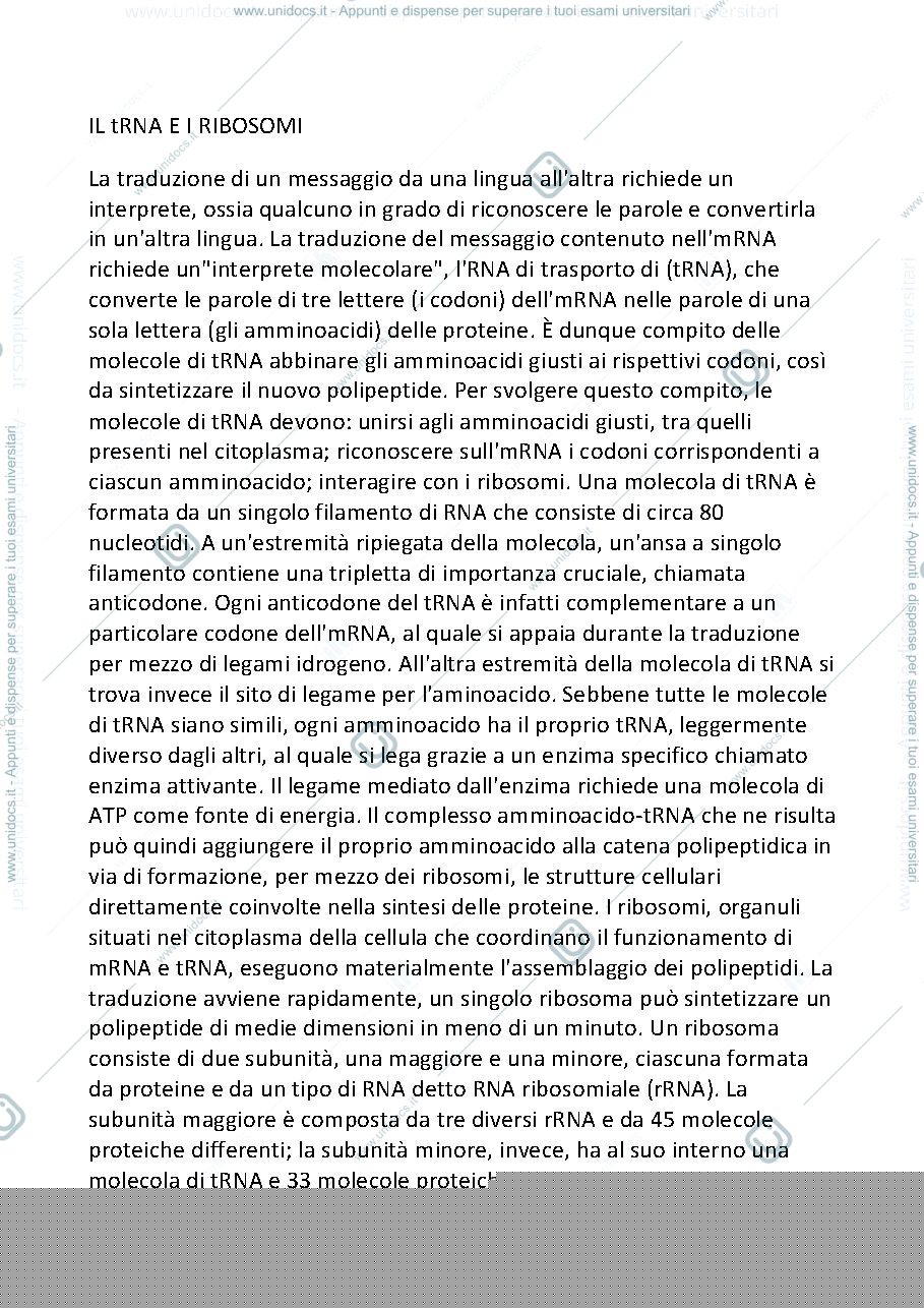 Anteprima pagina 1 — tRNA e i ribosomi 