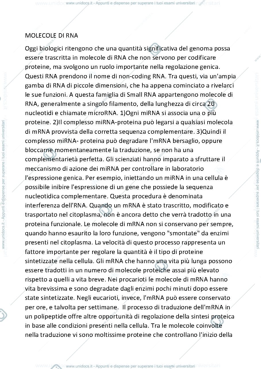 Anteprima pagina 1 — Molecole di RNA e la trascrizone 
