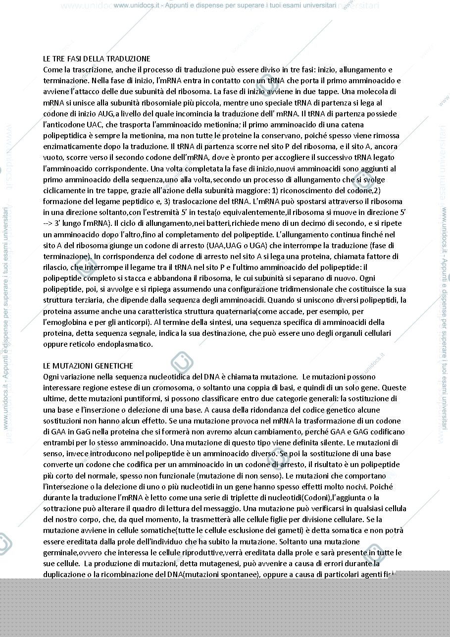 Anteprima pagina 1 — Traduzione e mutazione 