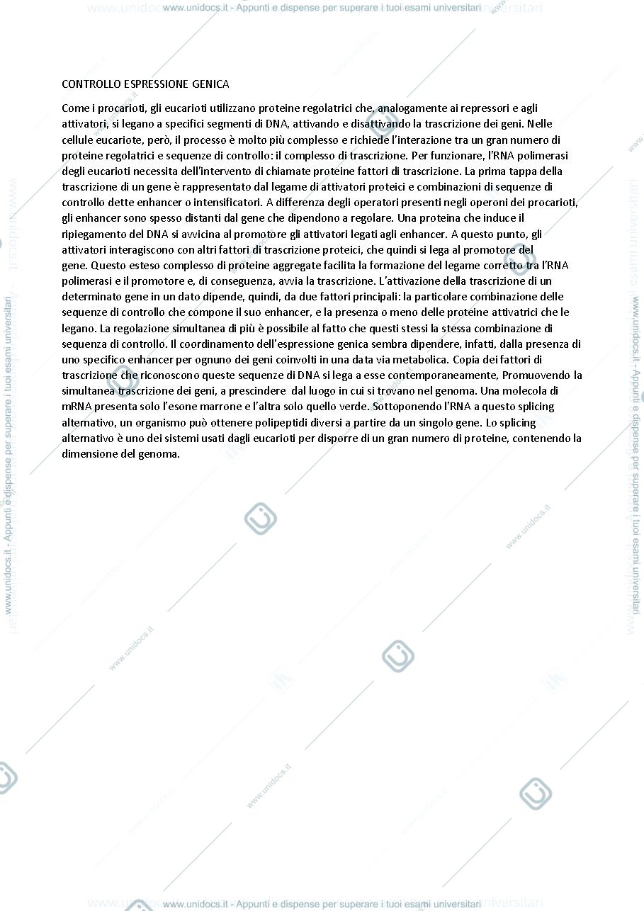 Anteprima pagina 1 — Regolazione genica 