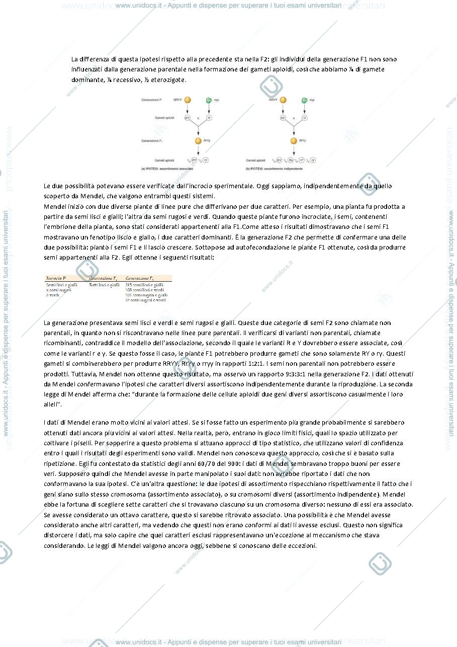Anteprima pagina 4 — Genetica - Professor Zordan