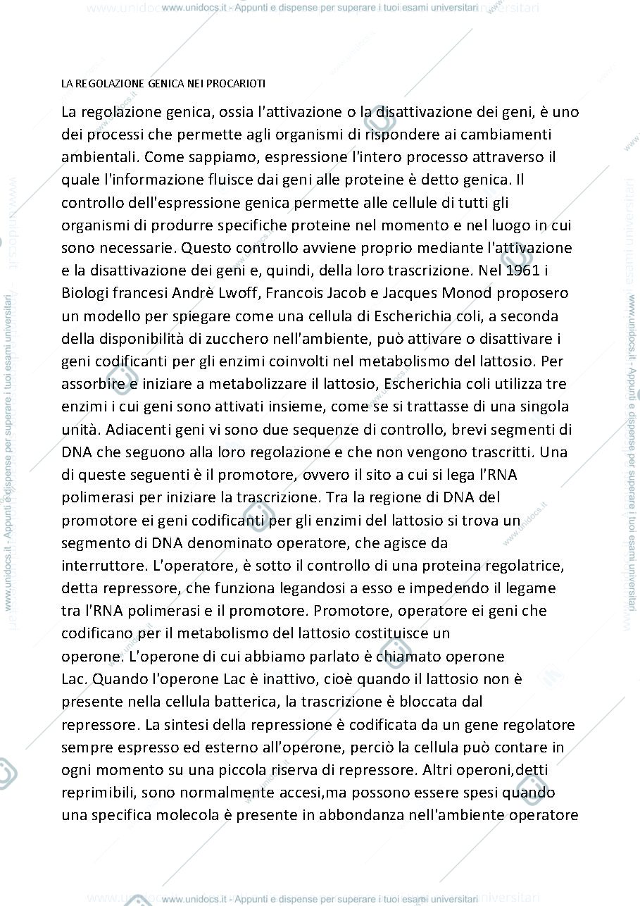 Anteprima pagina 1 — LA regolazione genica nei PROCARIOTI