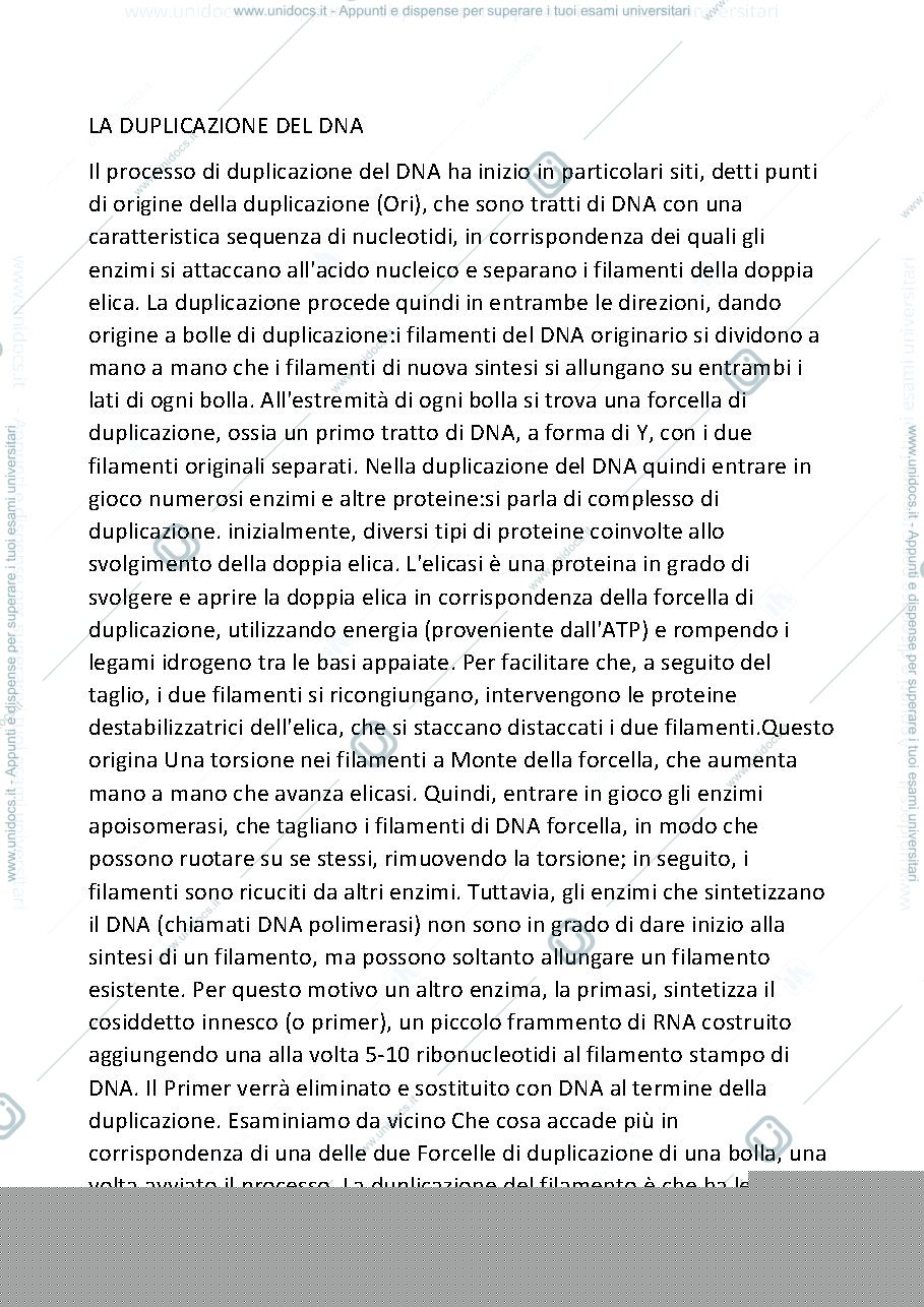 Anteprima pagina 1 — La duplicazione del DNA 