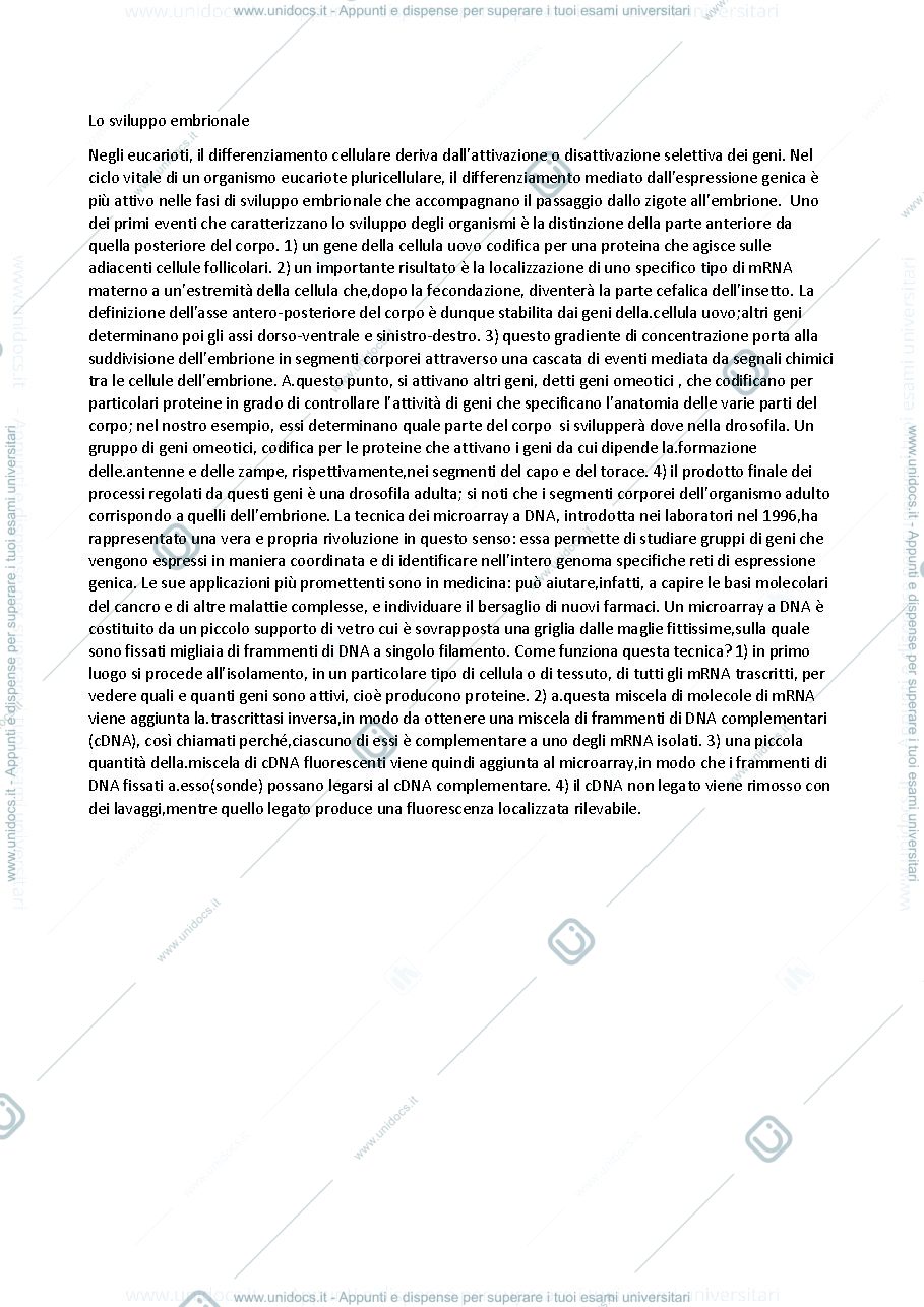 Anteprima pagina 1 — Lo sviluppo embrionale di un animale 