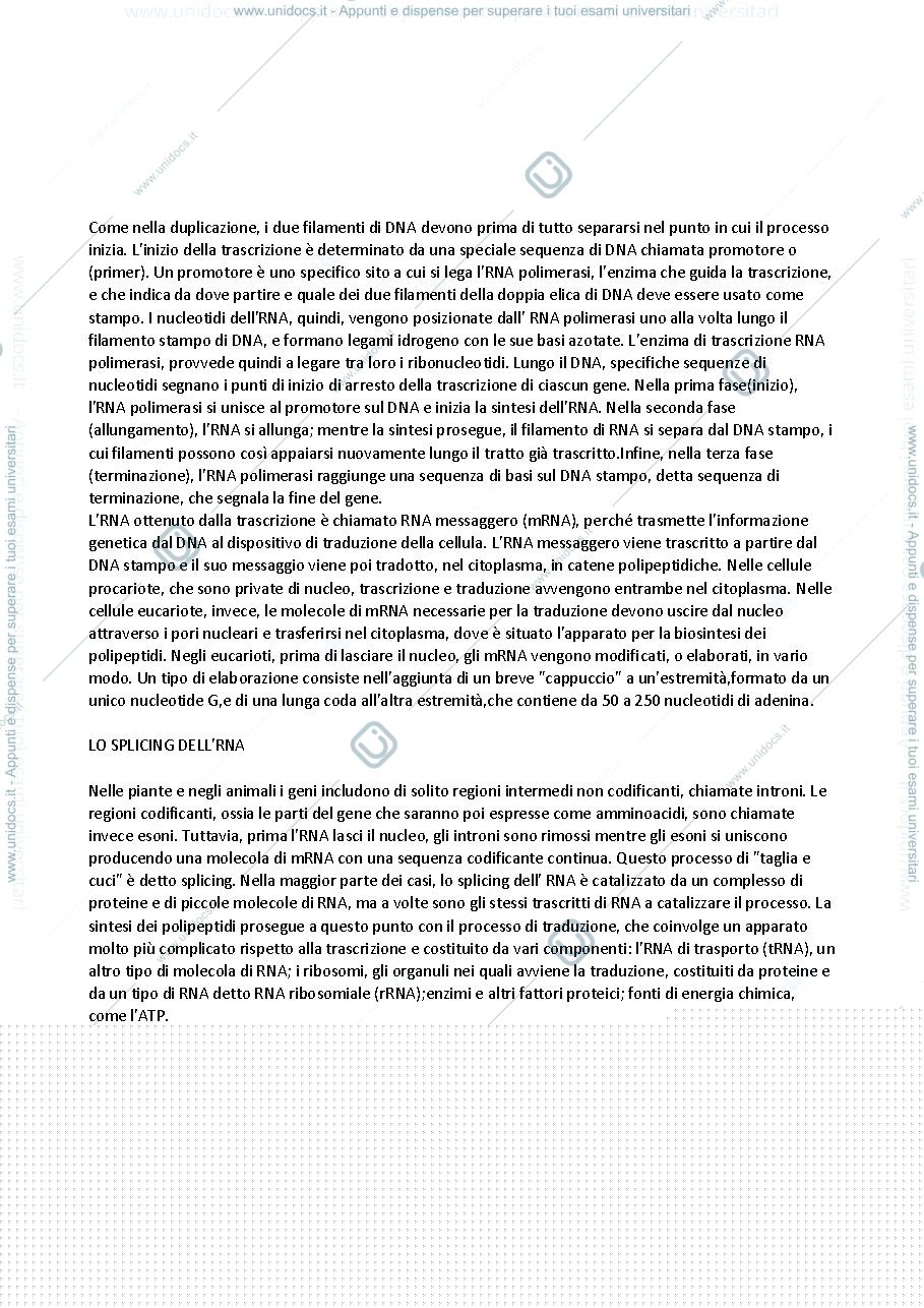 Anteprima pagina 1 — Trascrizione e mRNA