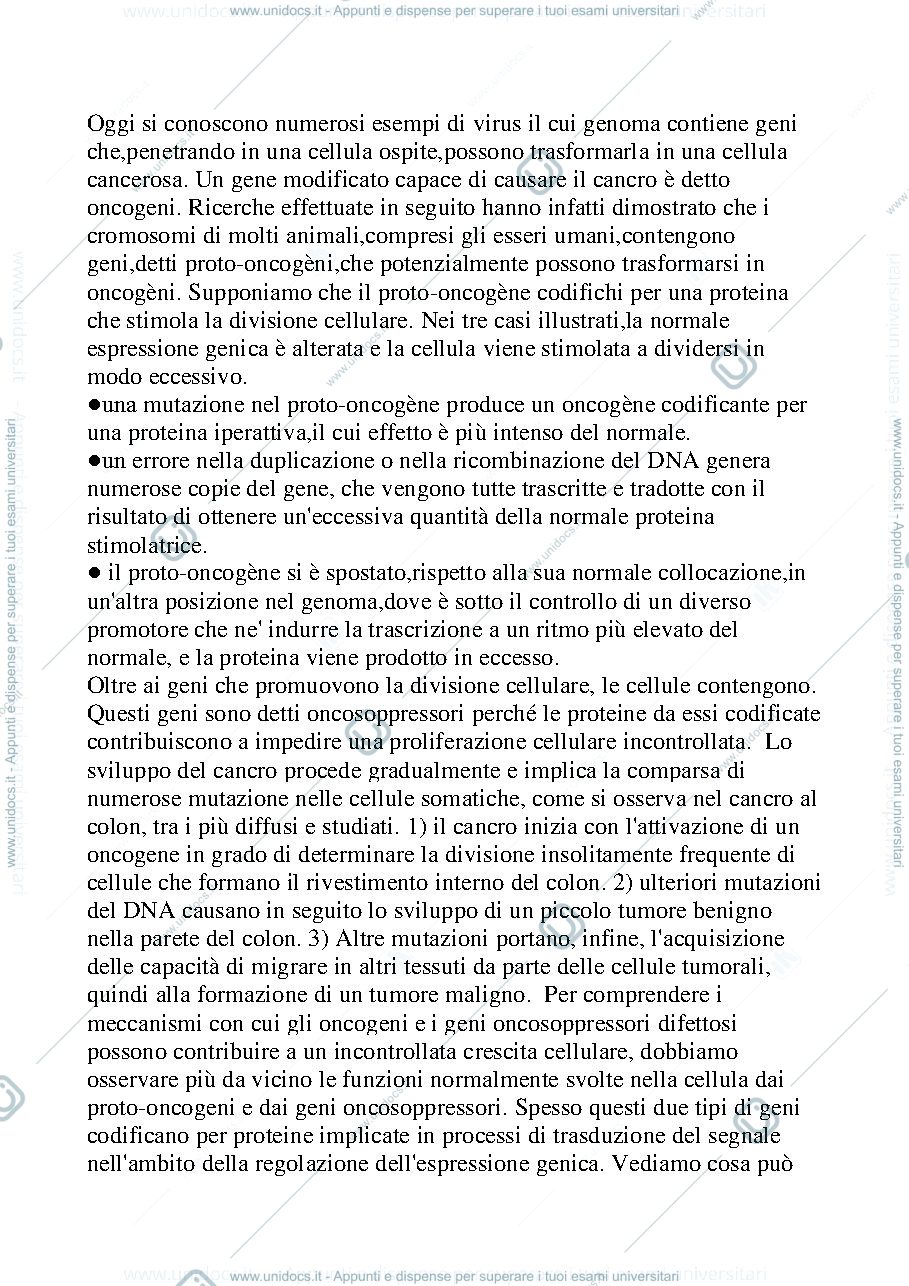 Anteprima pagina 1 — Il cancro 