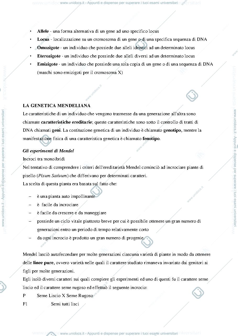 Anteprima pagina 3 — Riassunto genetica