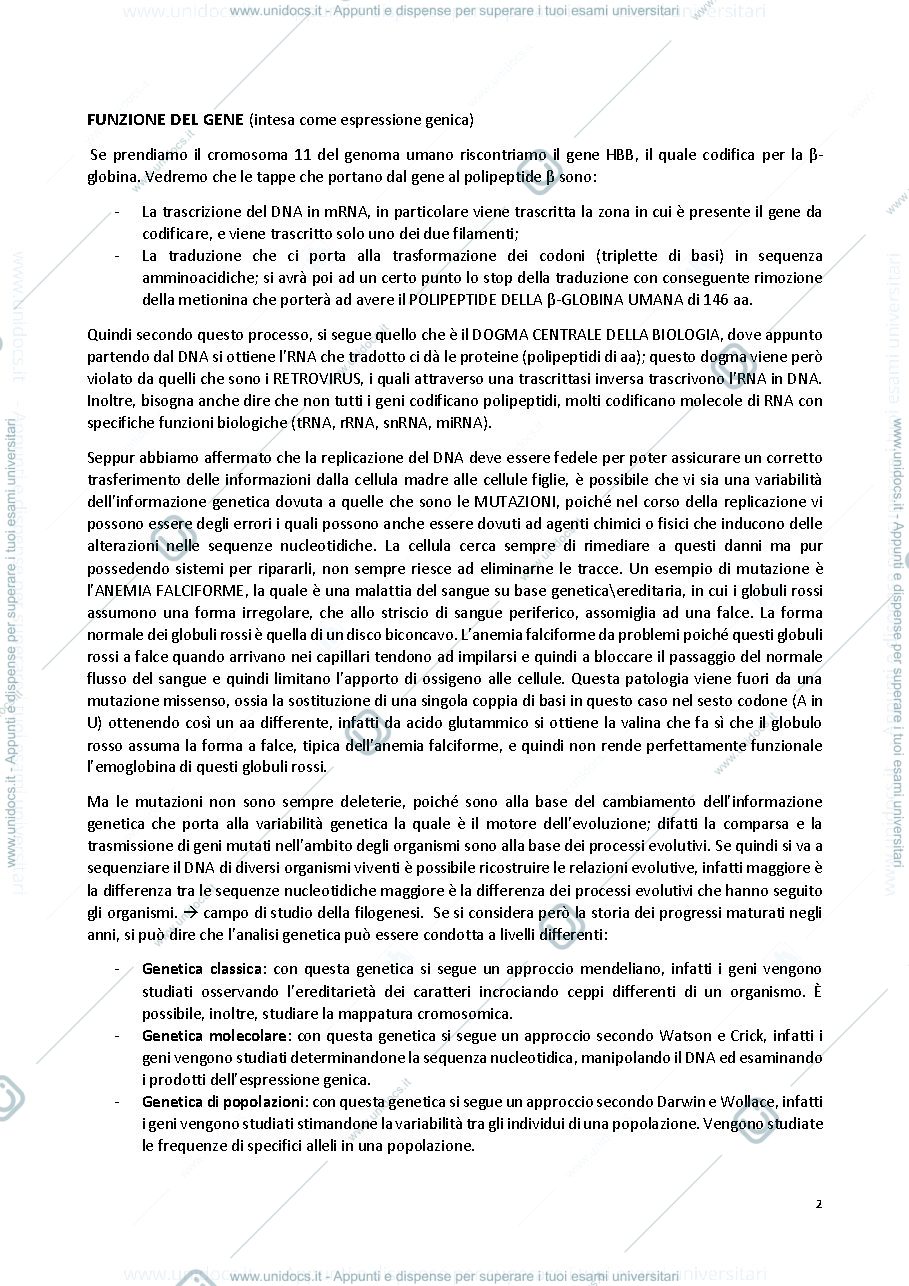 Anteprima pagina 2 — GENETICA