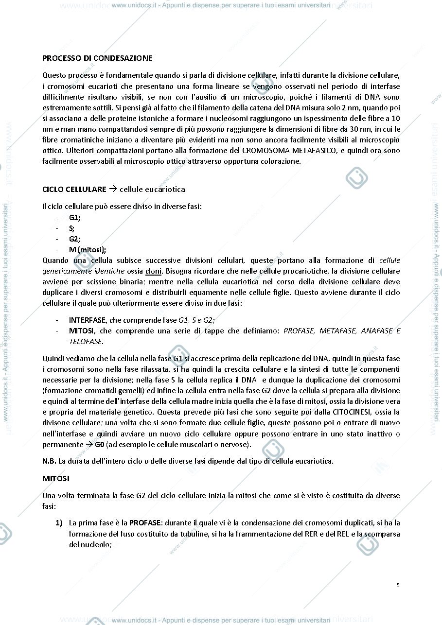 Anteprima pagina 5 — GENETICA