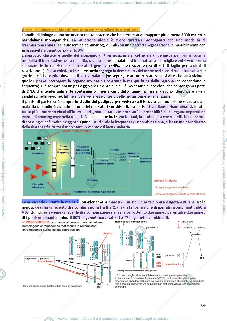 Anteprima pagina 2 — Genetica 