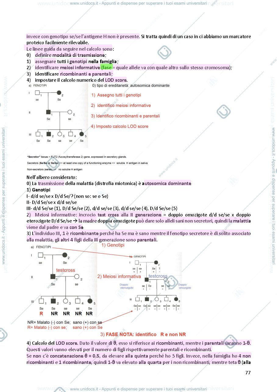 Anteprima pagina 1 — Genetica 