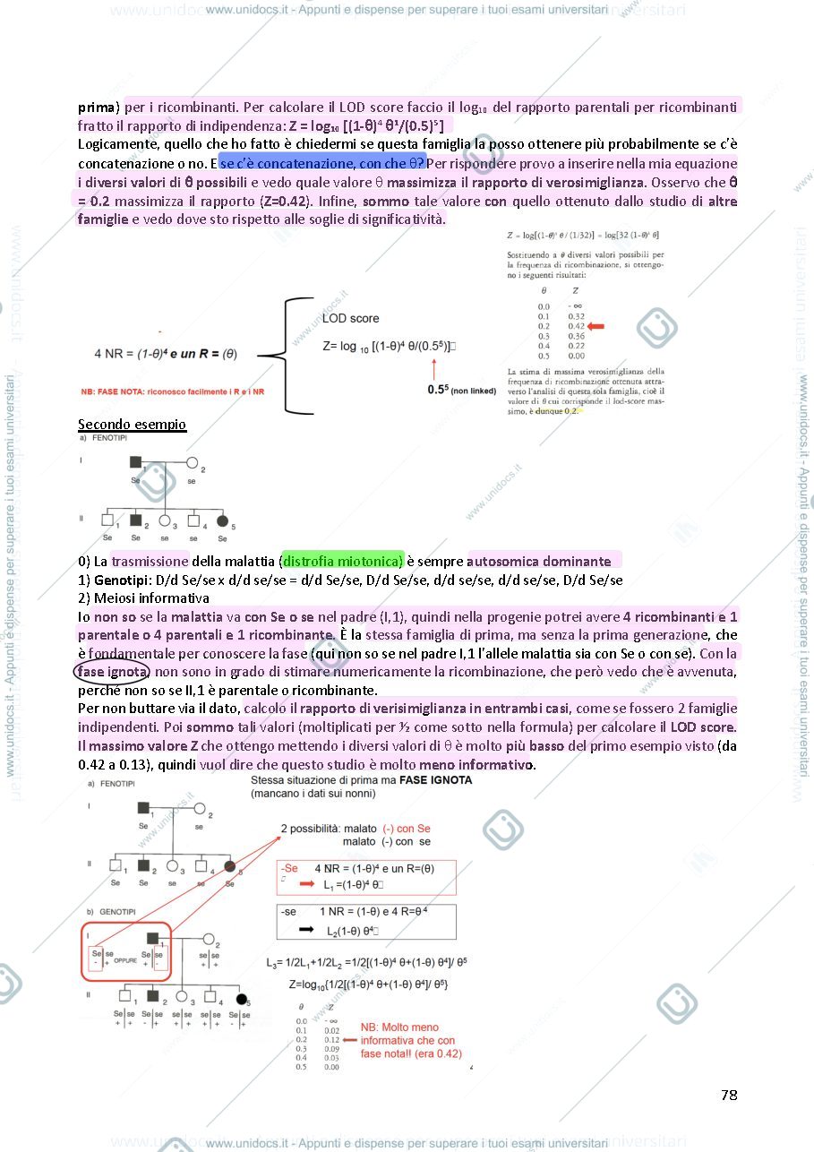 Anteprima pagina 2 — Genetica 
