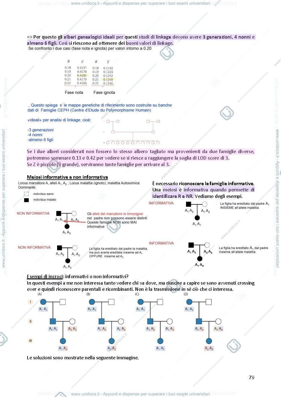 Anteprima pagina 3 — Genetica 
