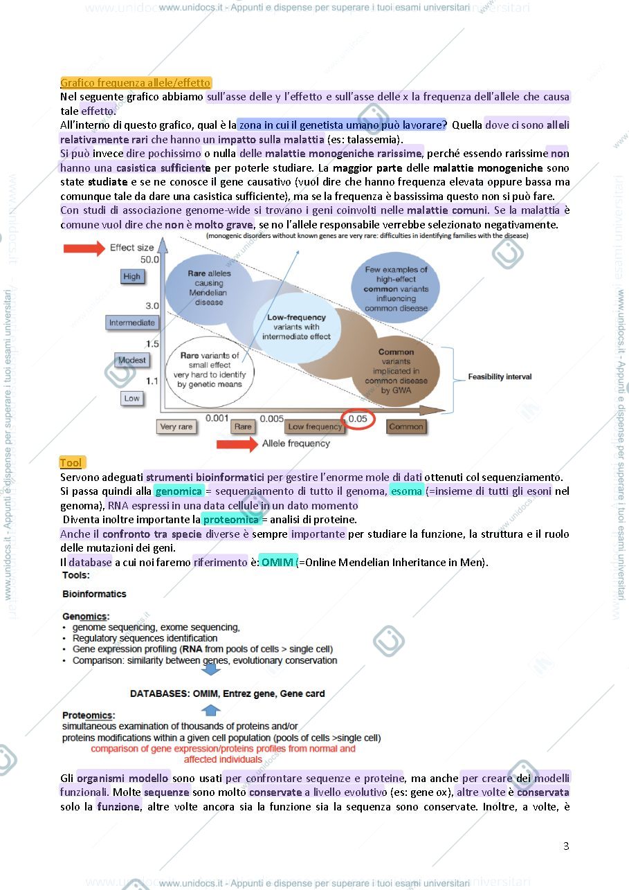 Anteprima pagina 3 — Genetica 