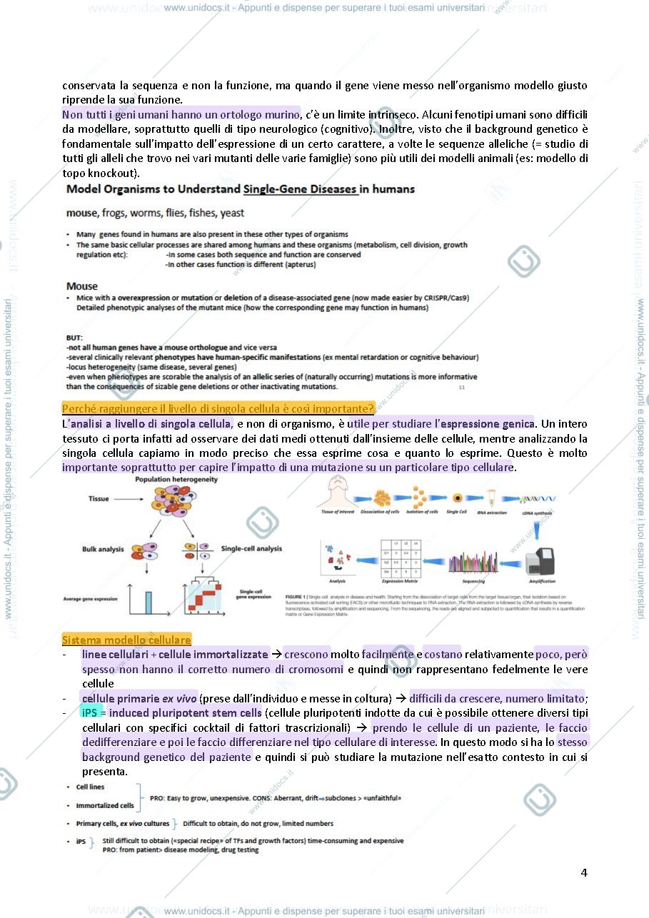Anteprima pagina 4 — Genetica 