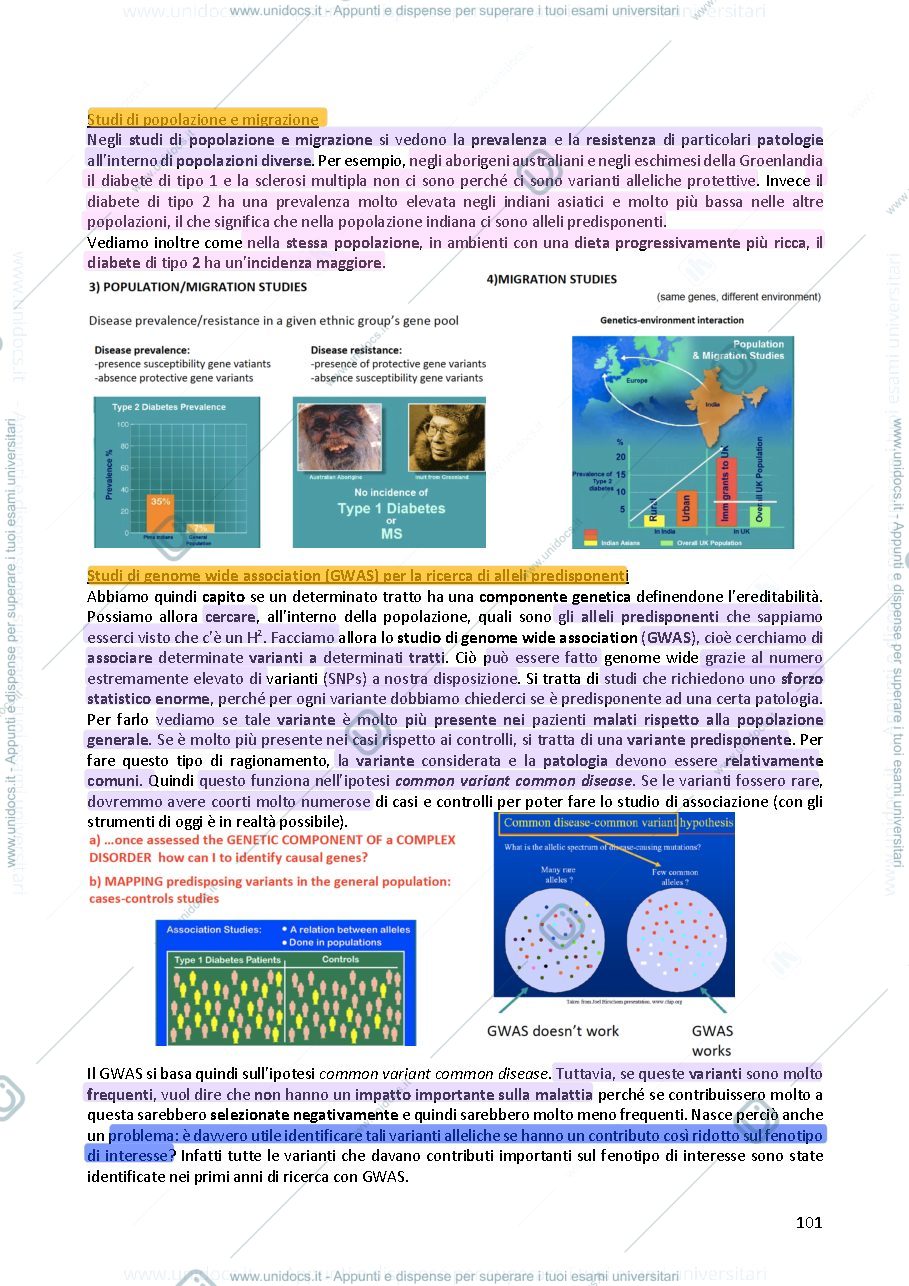 Anteprima pagina 2 — Genetica umana 
