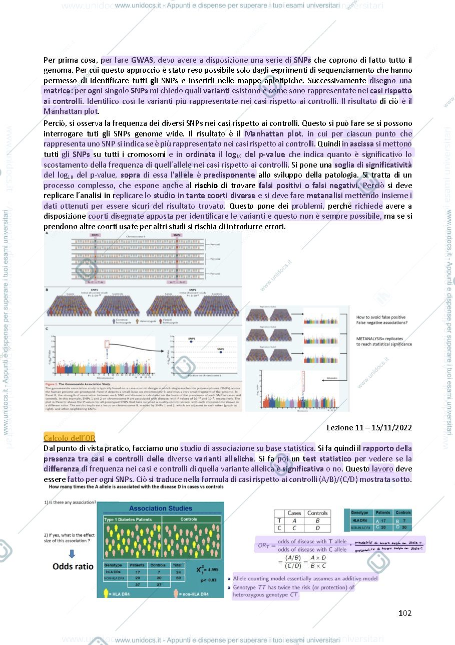 Anteprima pagina 3 — Genetica umana 