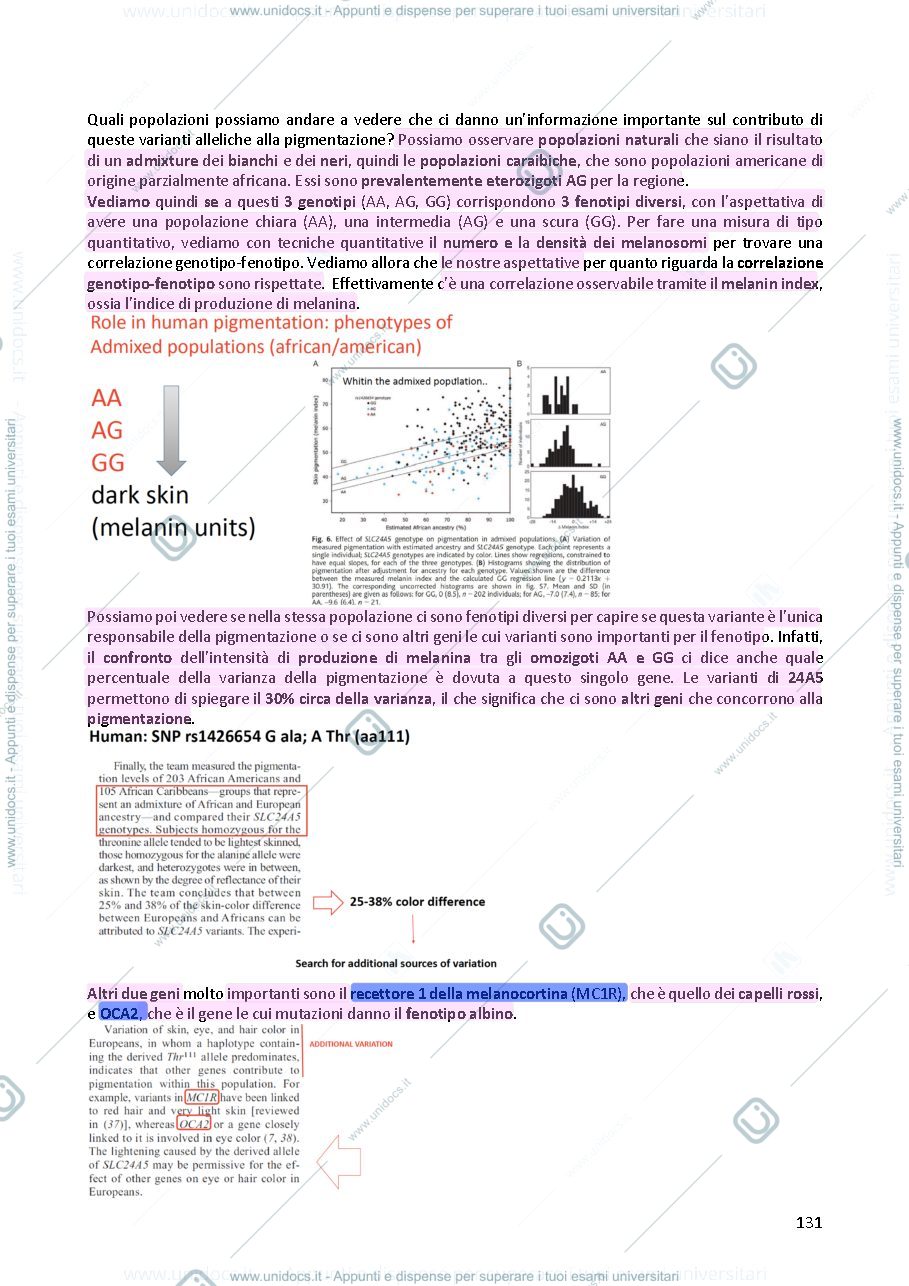 Anteprima pagina 1 — Genetica umana 