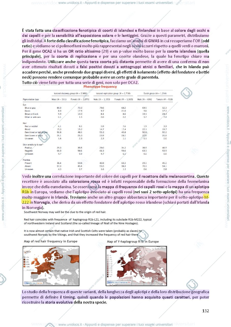 Anteprima pagina 2 — Genetica umana 