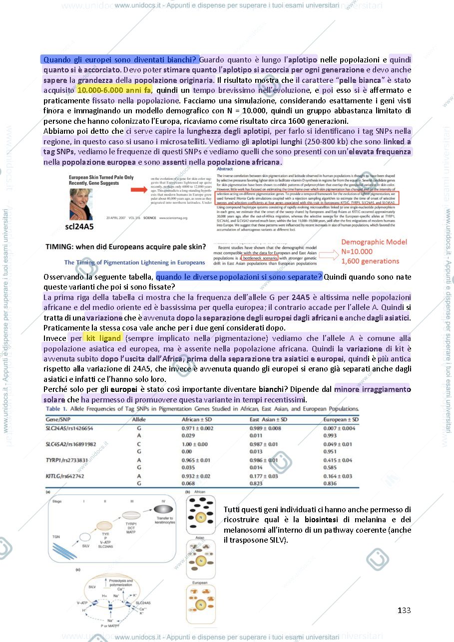 Anteprima pagina 3 — Genetica umana 