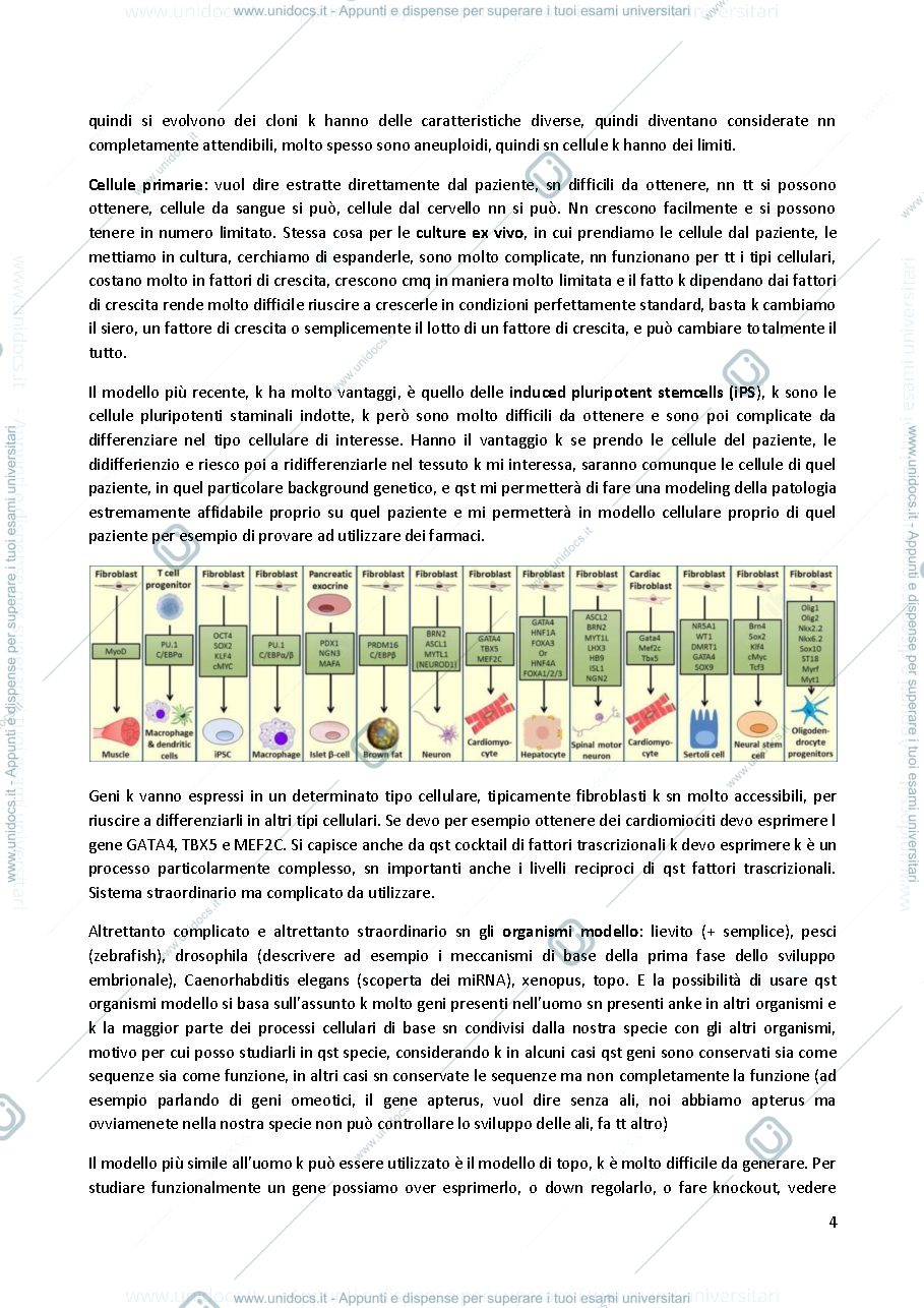 Anteprima pagina 4 — genetica molecolare