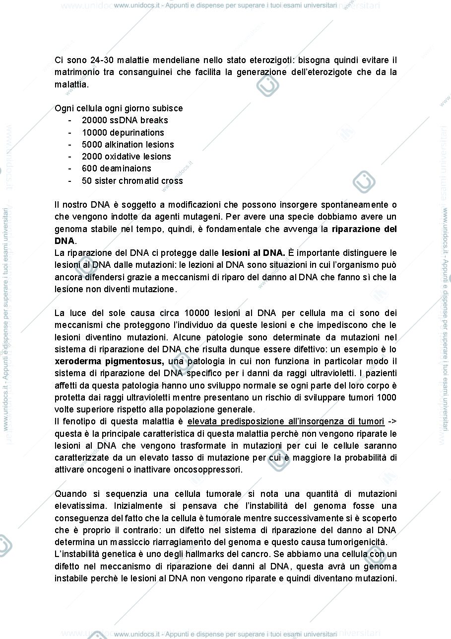 Anteprima pagina 4 — Dispense Genetica molecolare