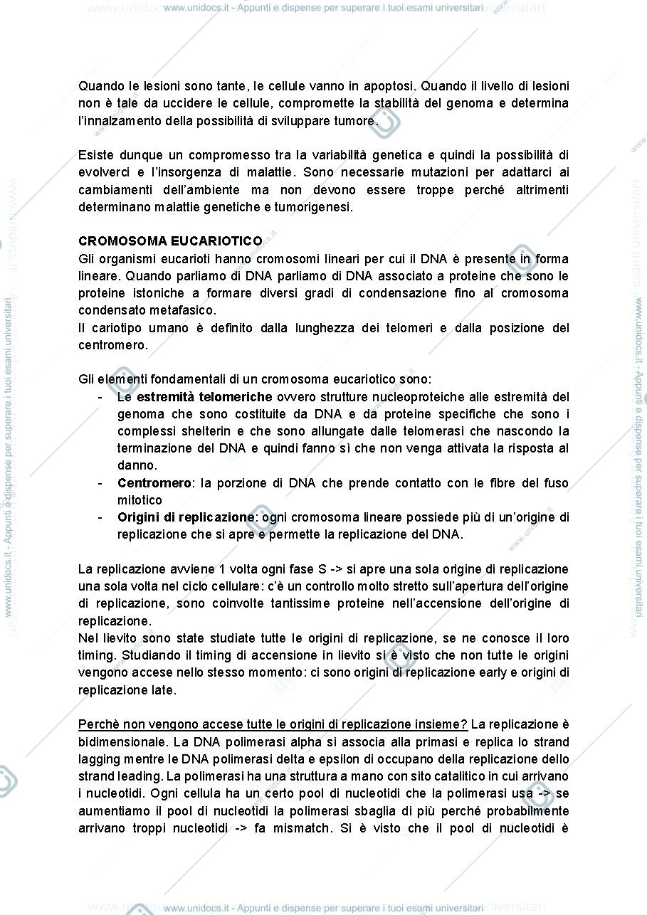 Anteprima pagina 5 — Dispense Genetica molecolare