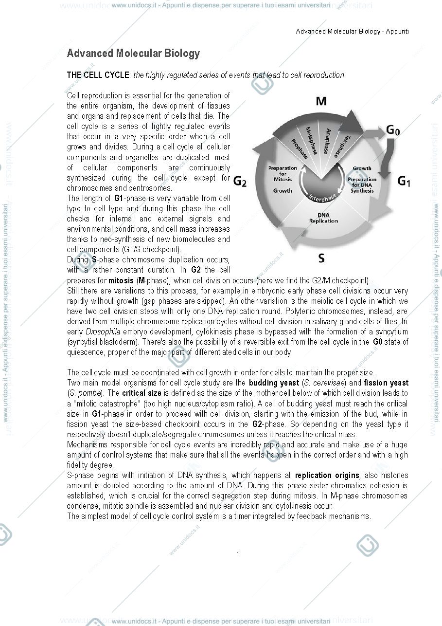 Anteprima pagina 1 — advanced molecular biology