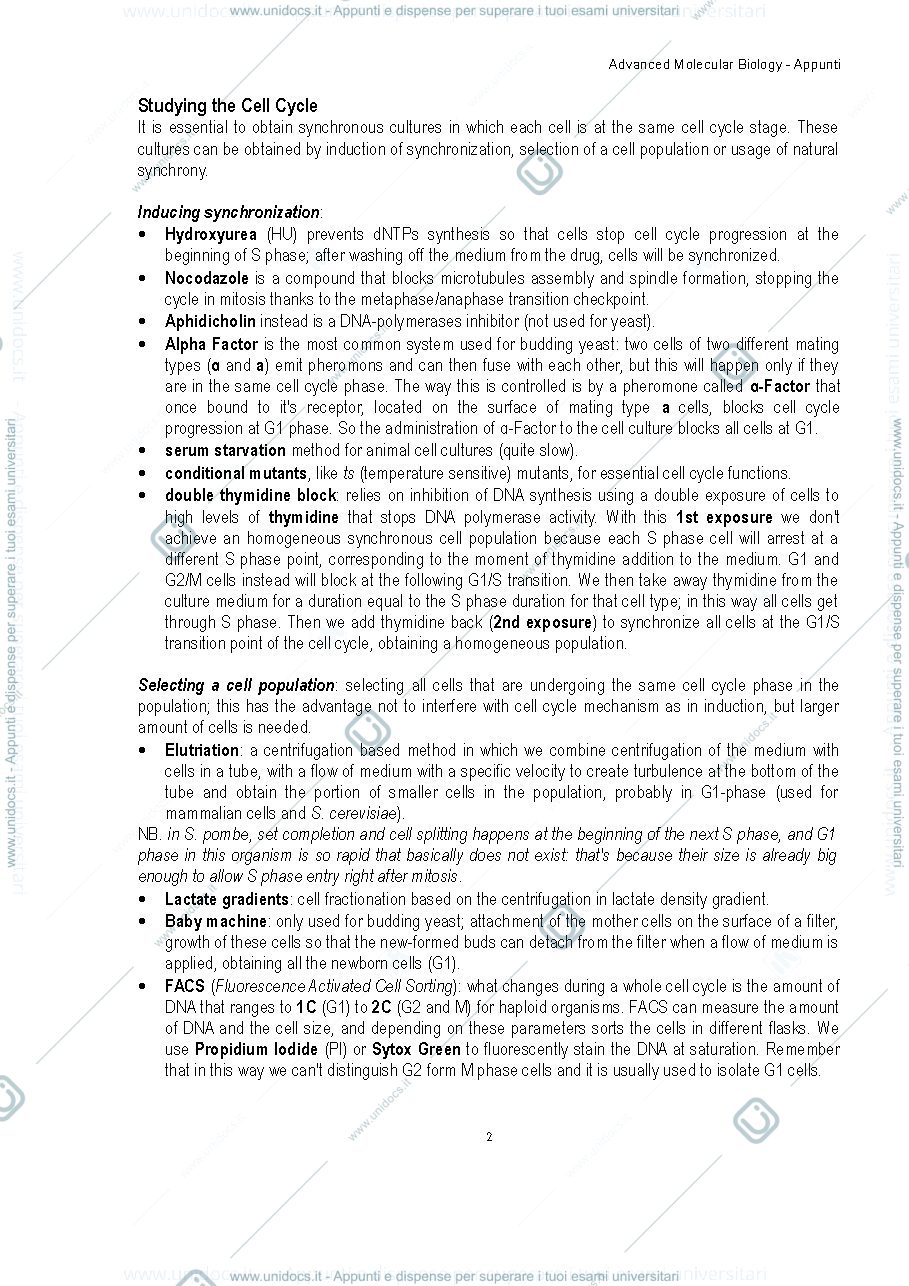 Anteprima pagina 2 — advanced molecular biology