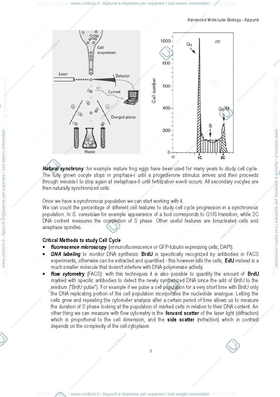 Anteprima pagina 3 — advanced molecular biology