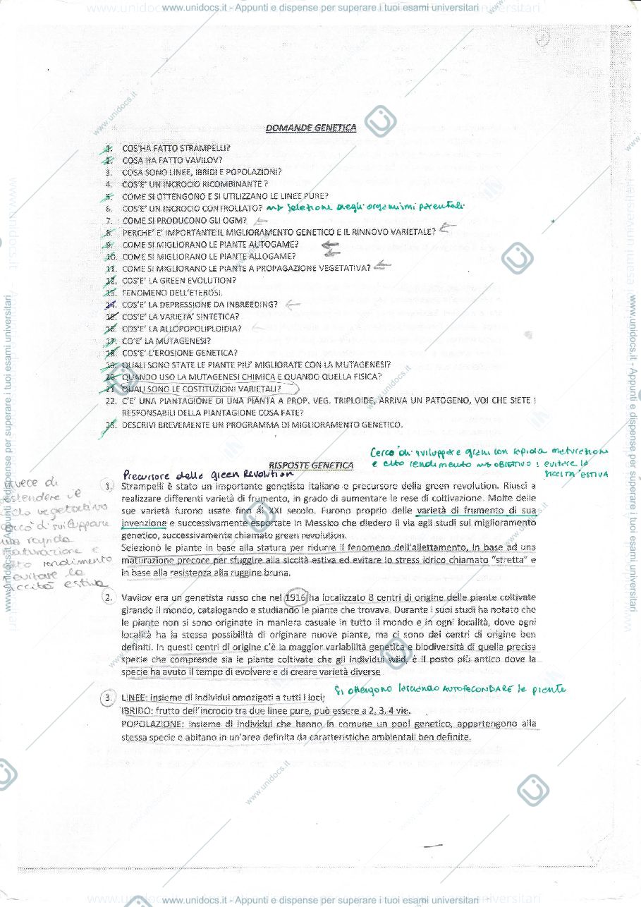 Anteprima pagina 1 — Domande