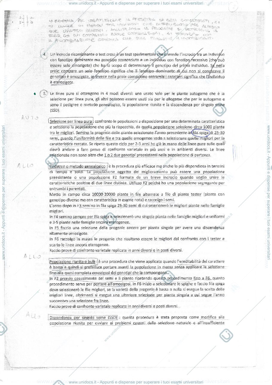 Anteprima pagina 2 — Domande