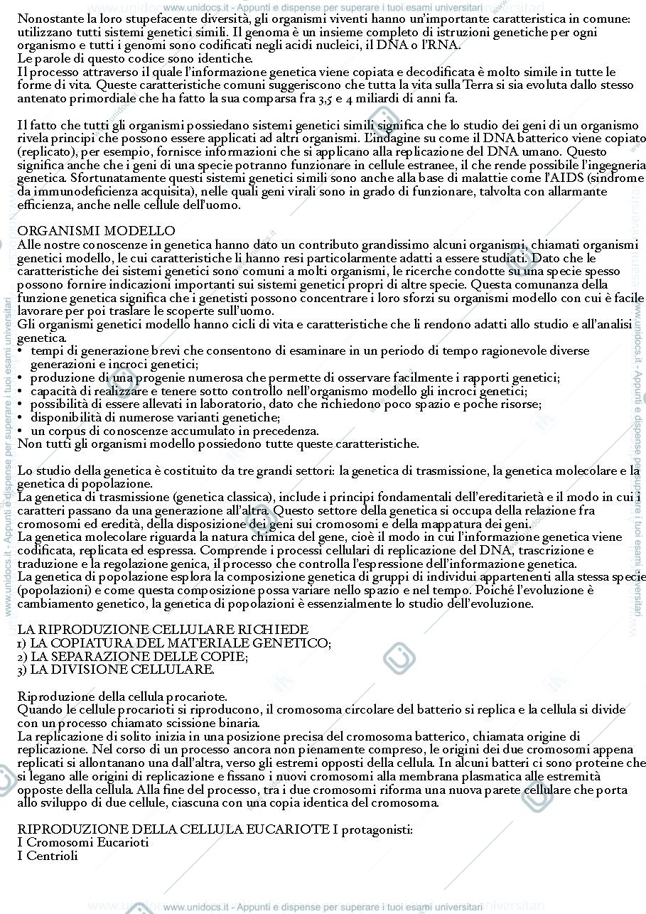 Anteprima pagina 1 — Organismi modello e cromosomi