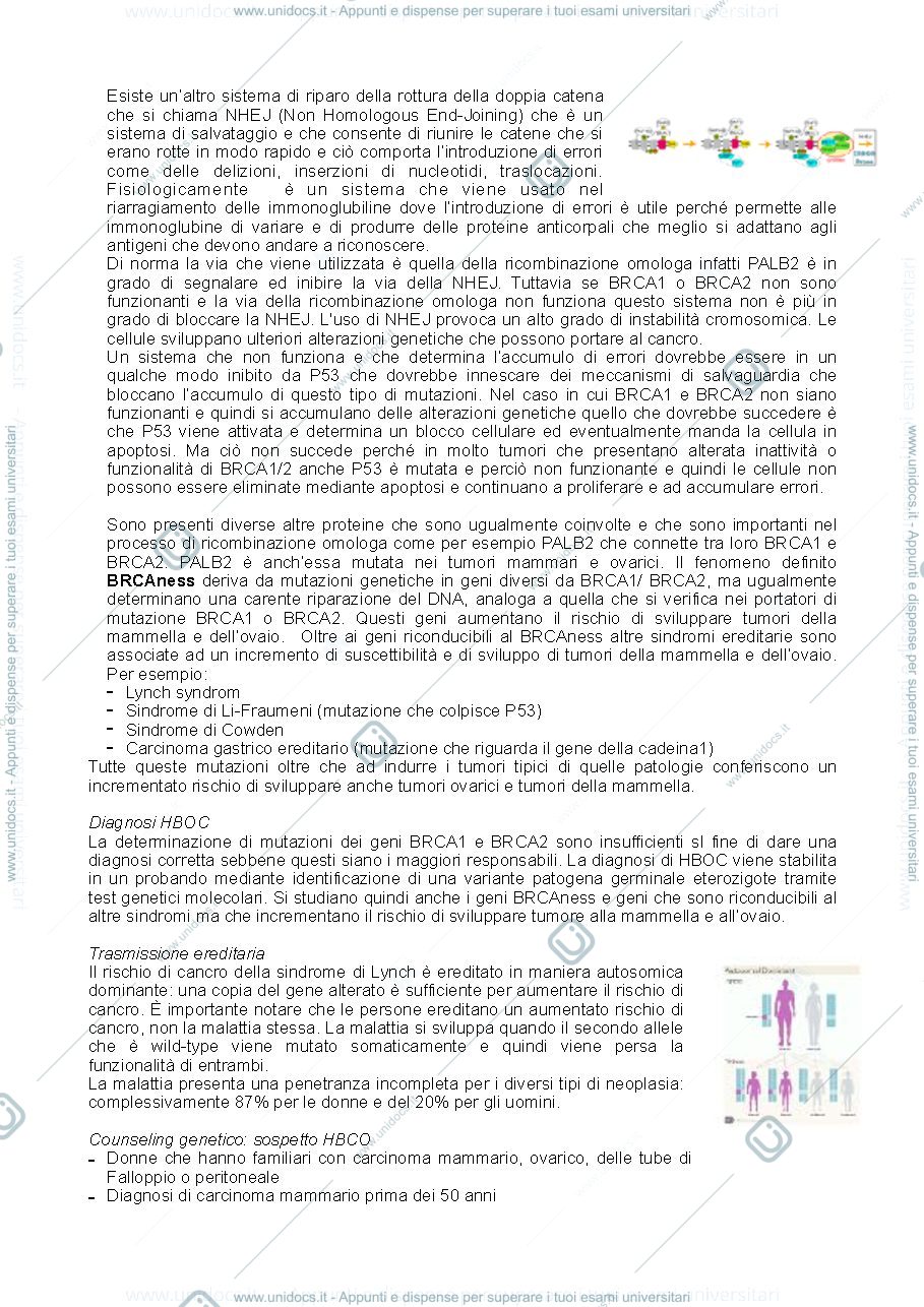Anteprima pagina 2 — cancro e diagnosi prenatale