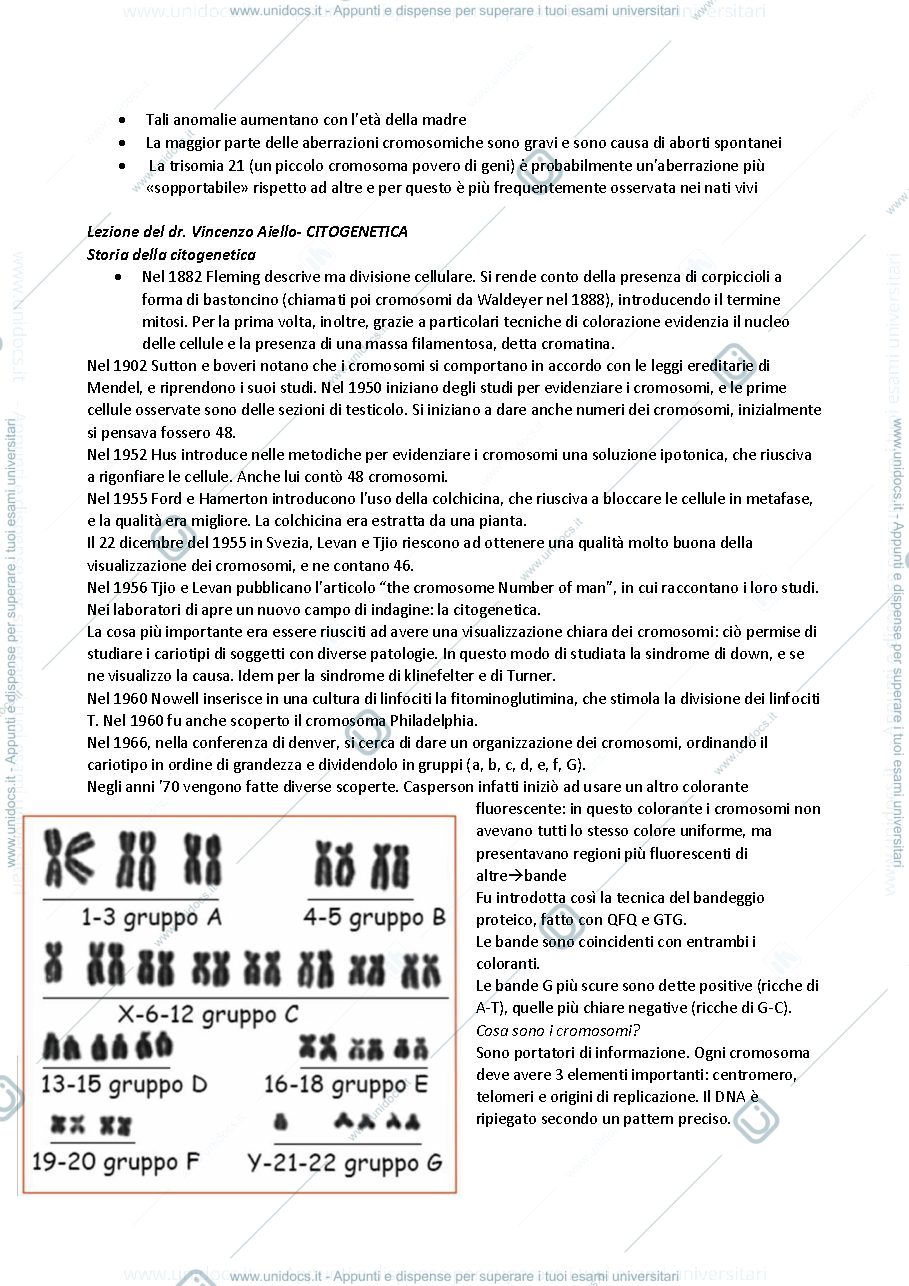 Anteprima pagina 2 — disordini cromosomici