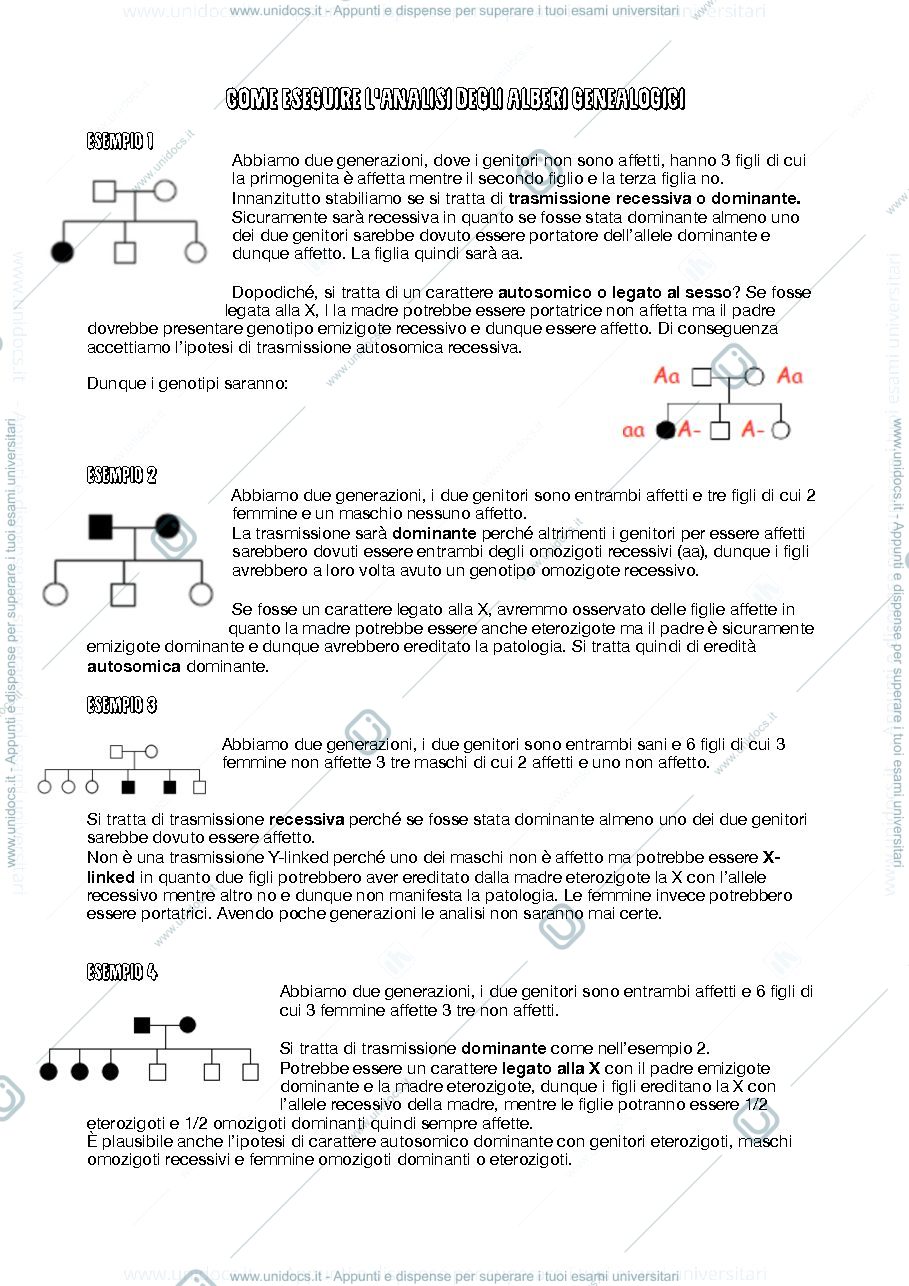 Anteprima pagina 1 — esercizi