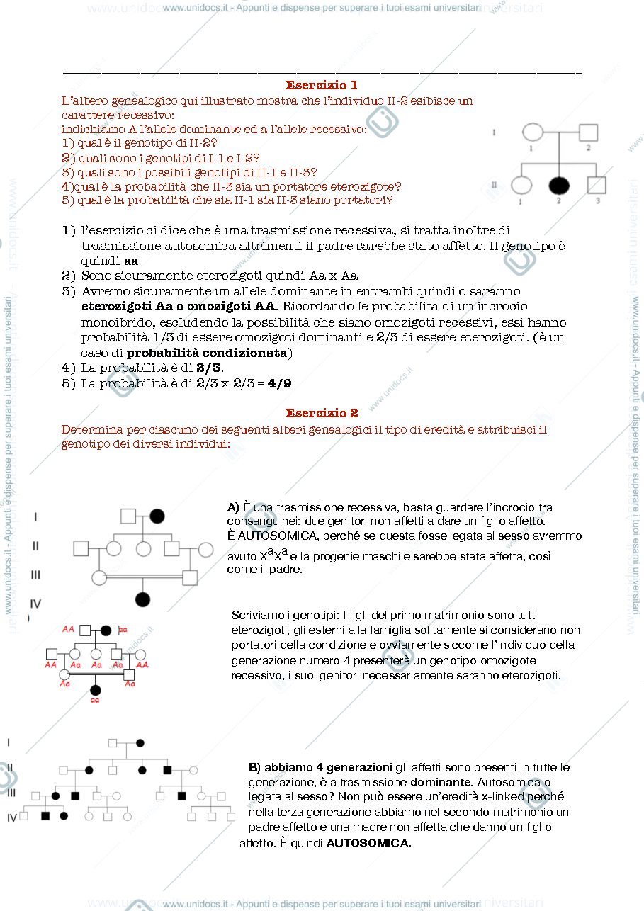 Anteprima pagina 2 — esercizi