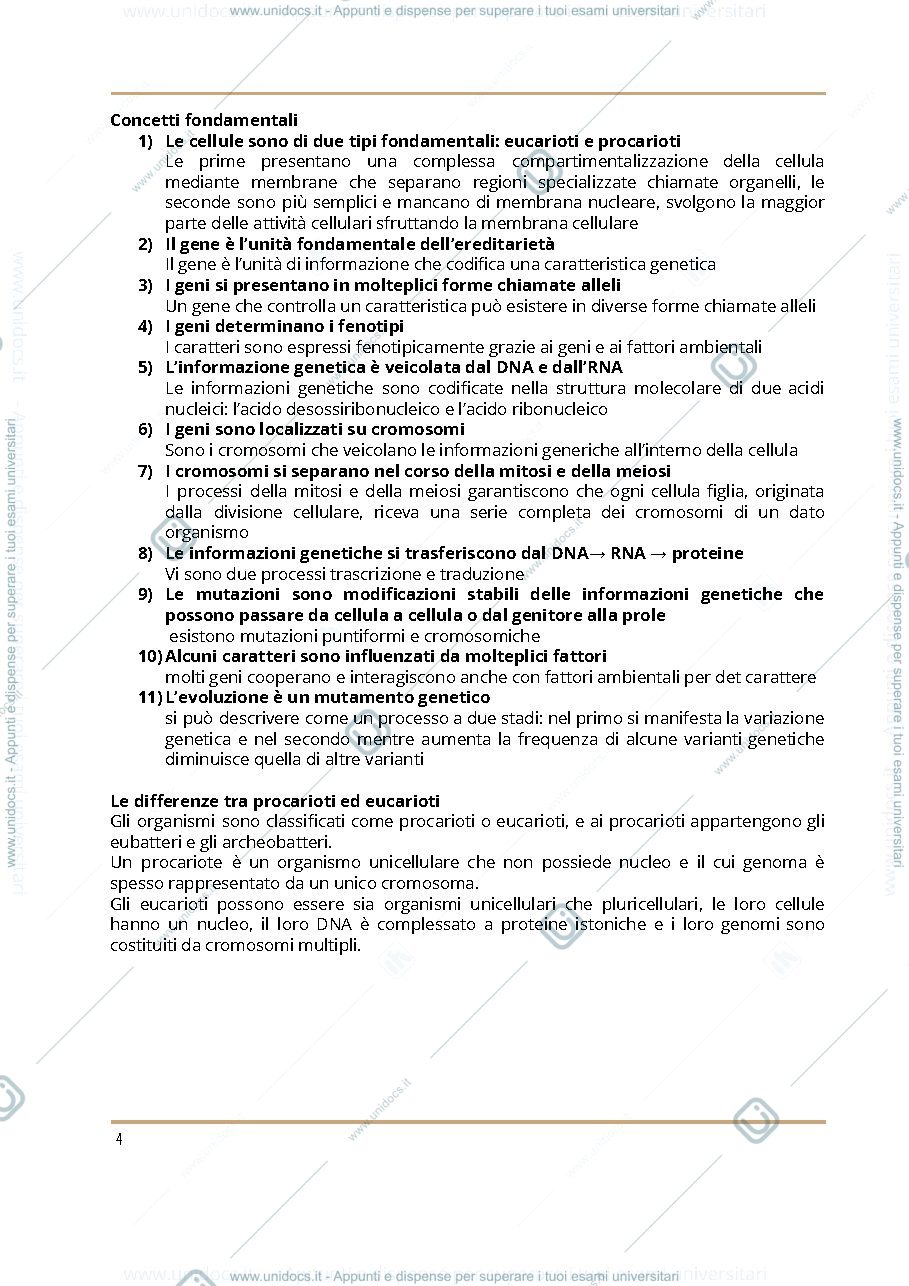 Anteprima pagina 4 — GENETICA