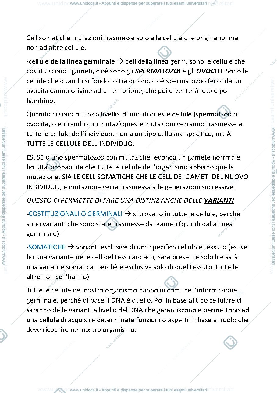 Anteprima pagina 1 — MUTAZIONI GENETICHE SECONDA PARTE APPUNTI PRIMA LEZIONE