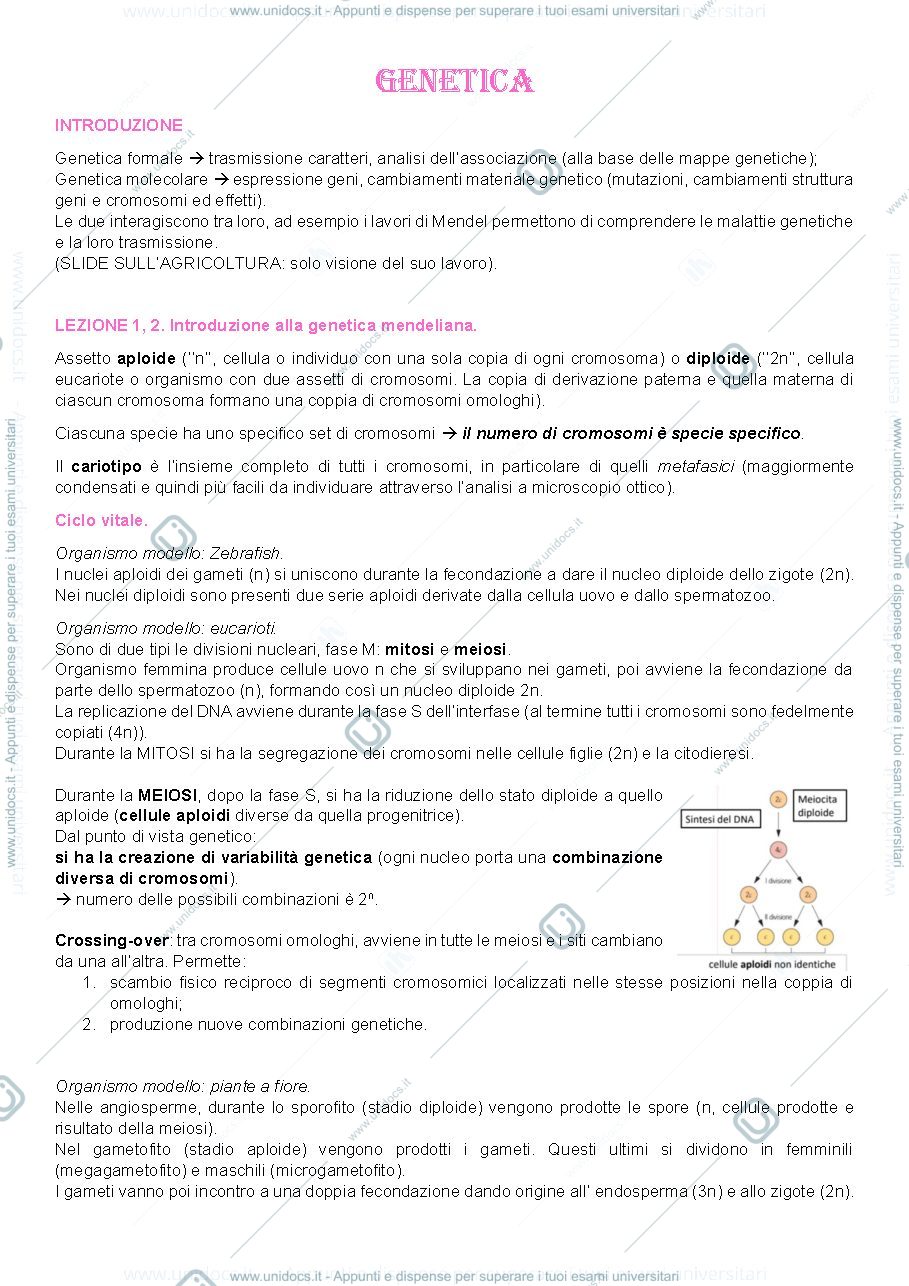 Anteprima pagina 1 — Introduzione e leggi di Mendel
