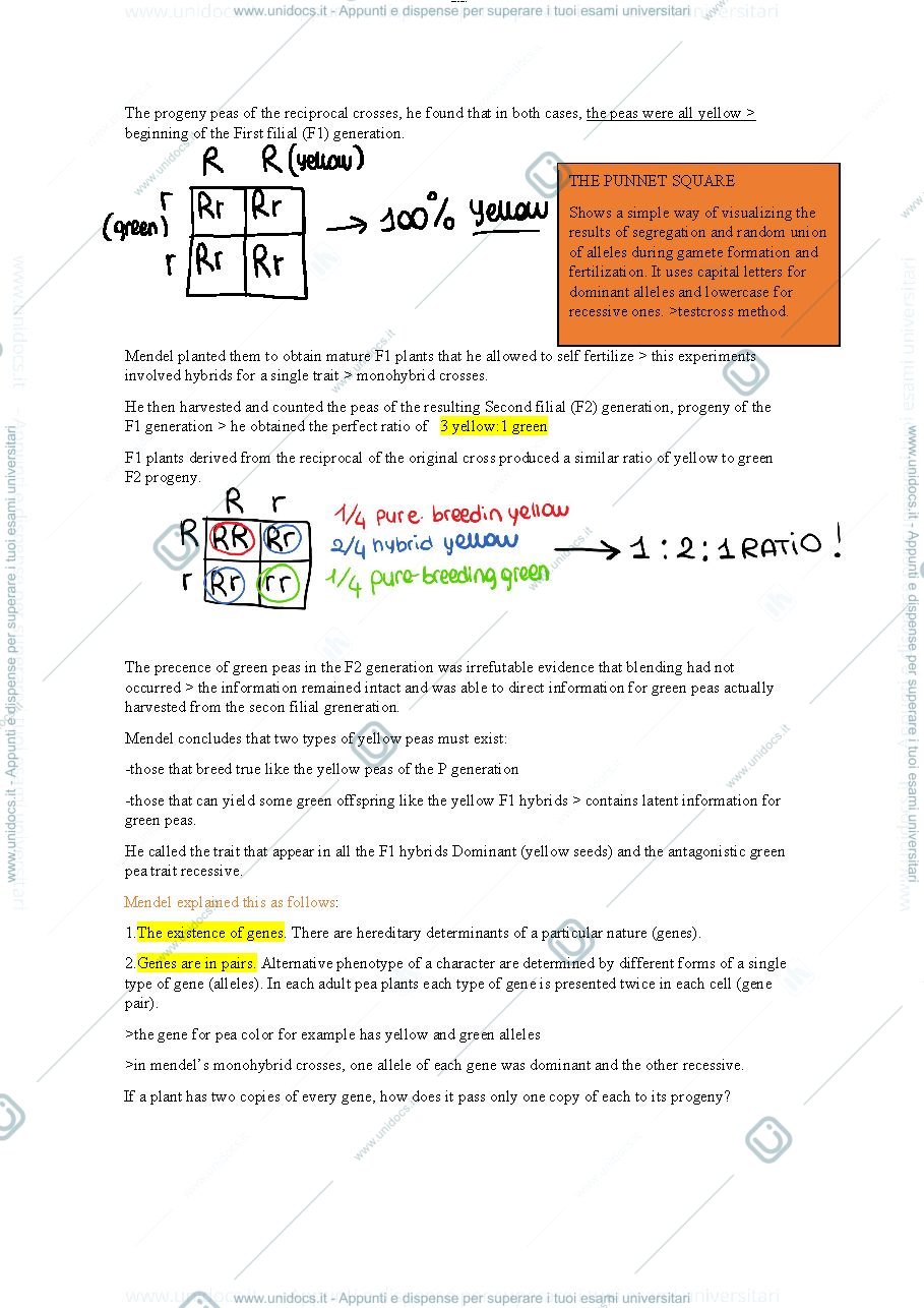 Anteprima pagina 3 — genetics