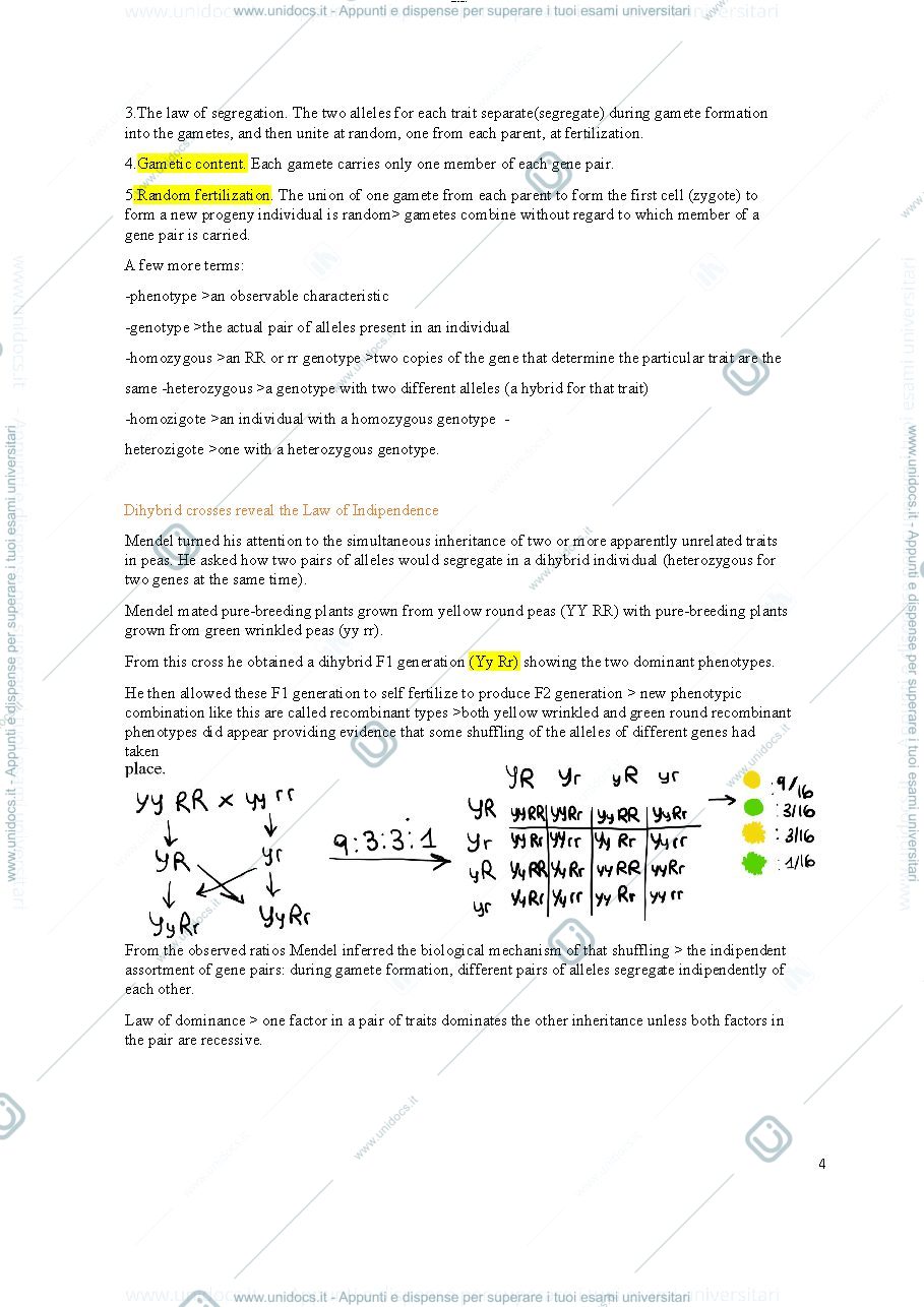 Anteprima pagina 4 — genetics