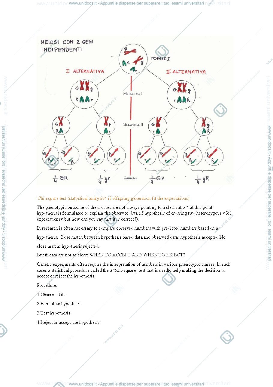 Anteprima pagina 5 — genetics