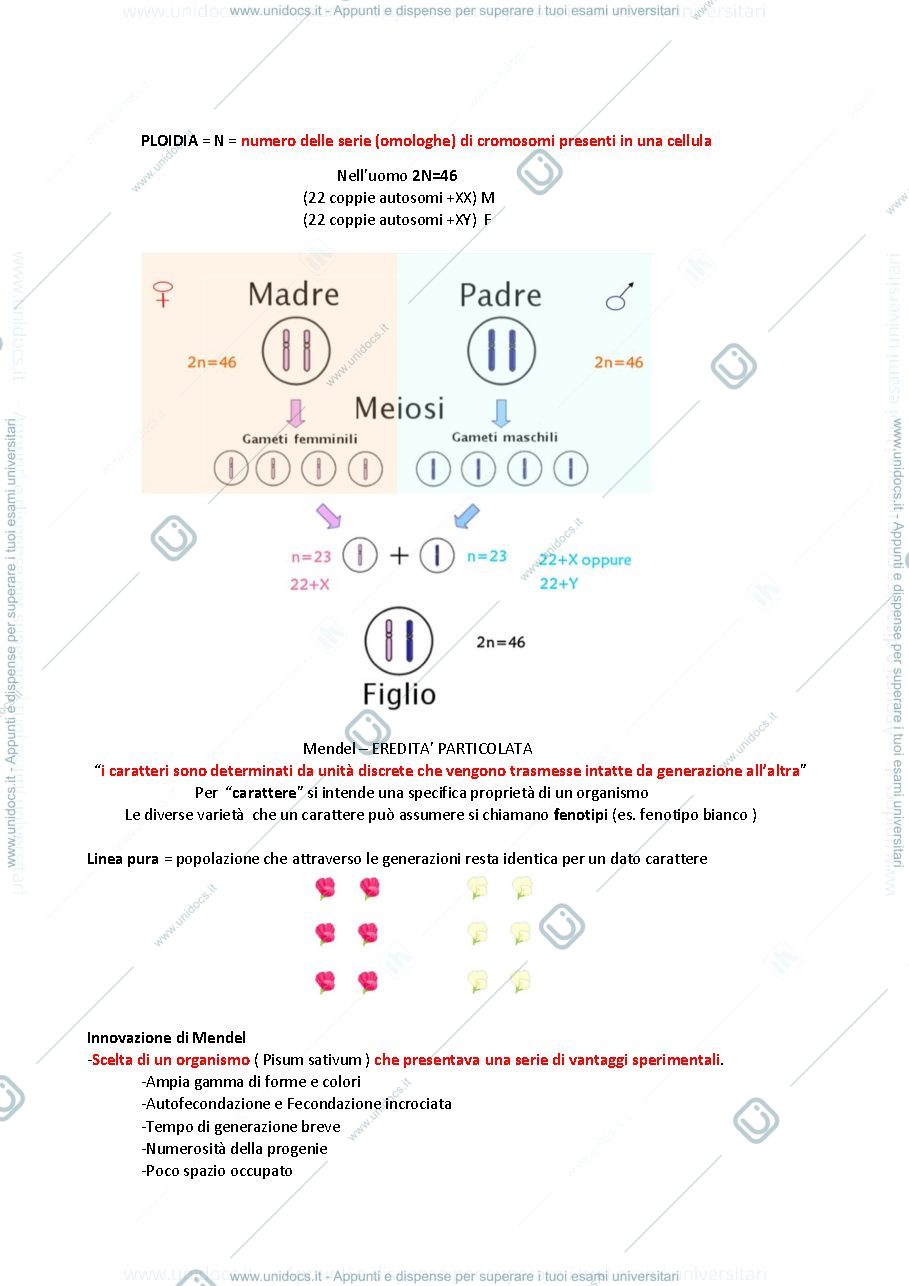 Anteprima pagina 2 — GENETICA