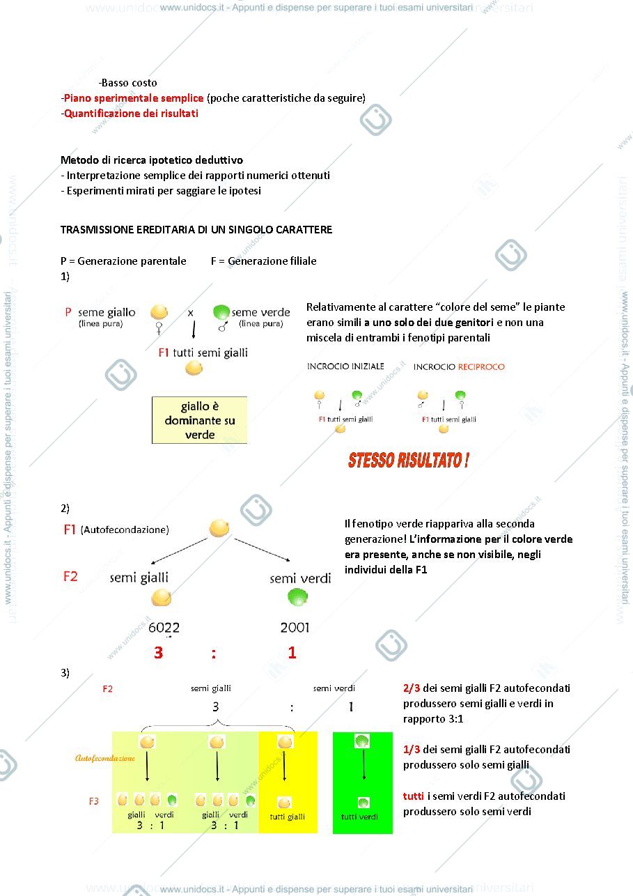 Anteprima pagina 3 — GENETICA