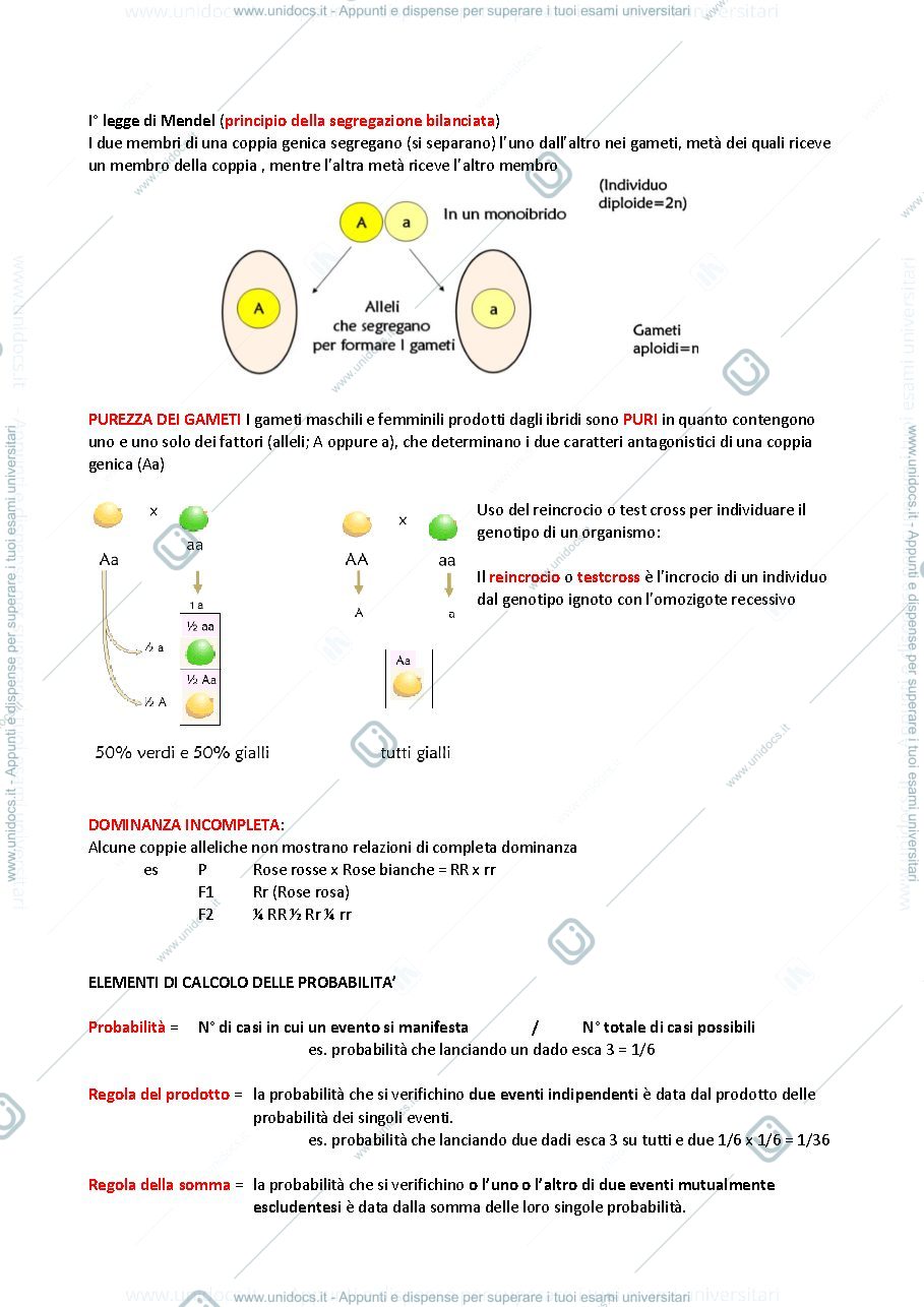 Anteprima pagina 5 — GENETICA