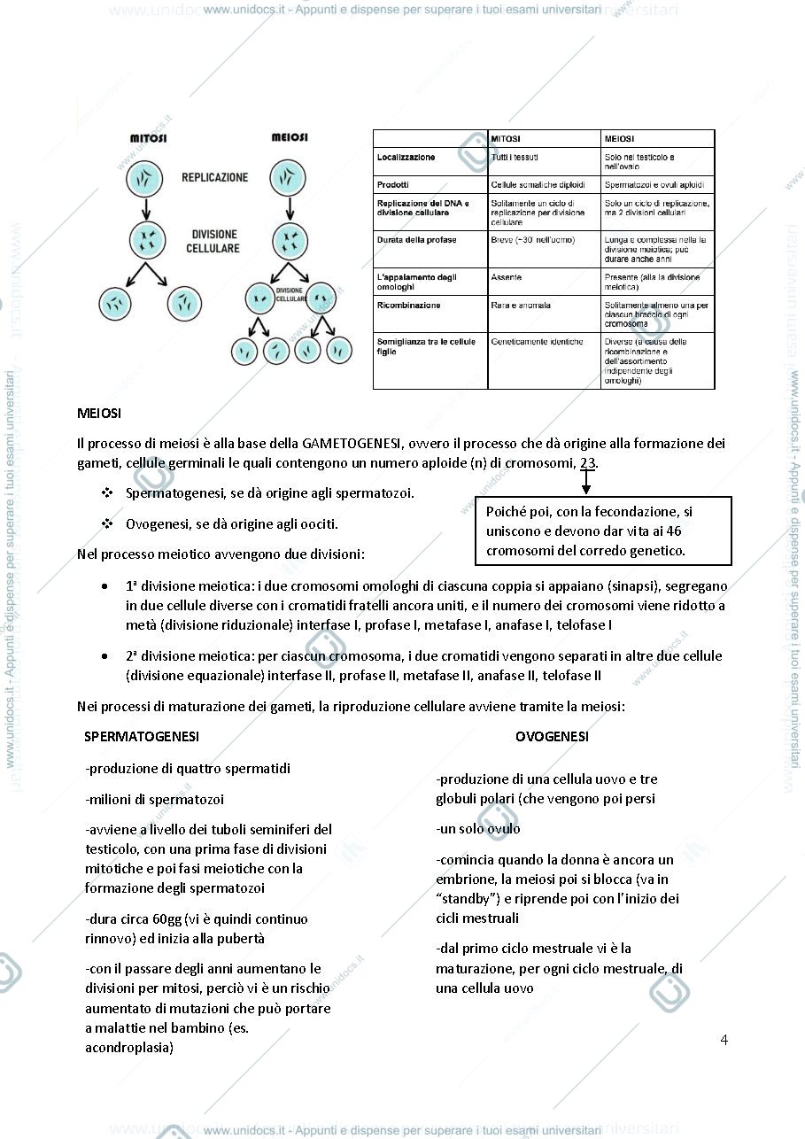 Anteprima pagina 4 — Genetica